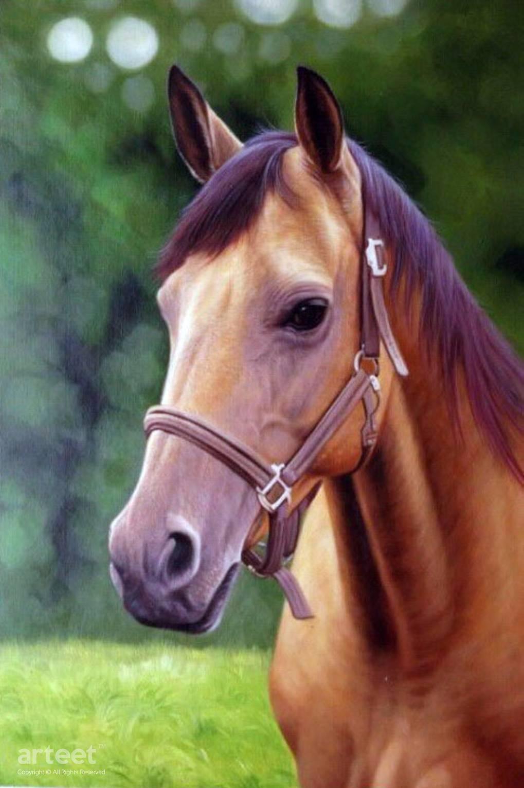 Portrait of The Brown Stallion Art Paintings for Sale, Online Gallery