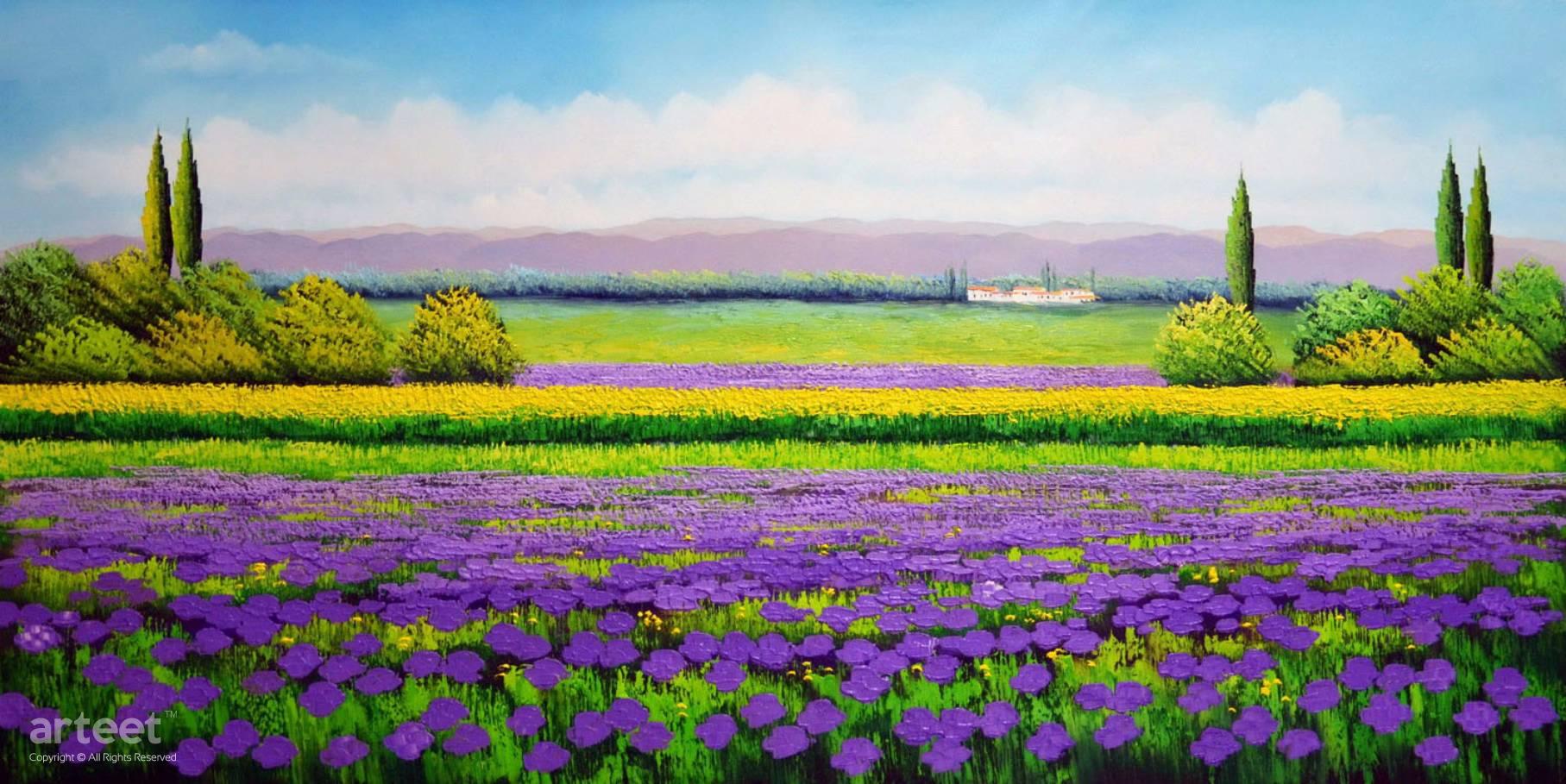 Sea of Purple - Flowers & plants / Arteet