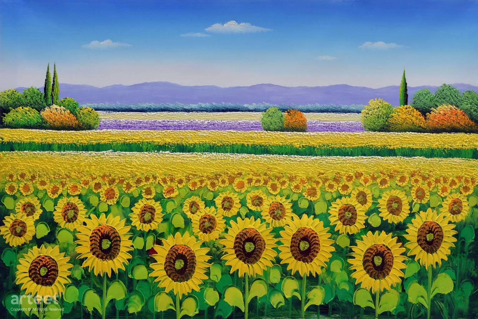 Sunflower Fields Art Paintings For Sale Online Gallery